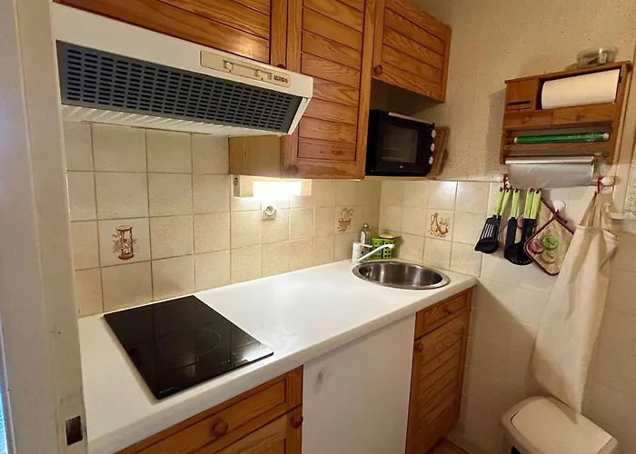 Cosy Pour 6, Proche Valliere, Animaux Acceptes - - Fr-1-494-4 Saint-Georges-de-Didonne